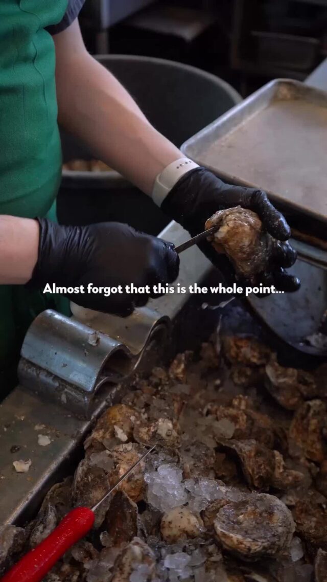 All roads lead back to oysters 🦪 Don’t act like you didn’t know.